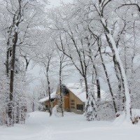 Winter at Stratton Brook Hut, photo by John Orcutt